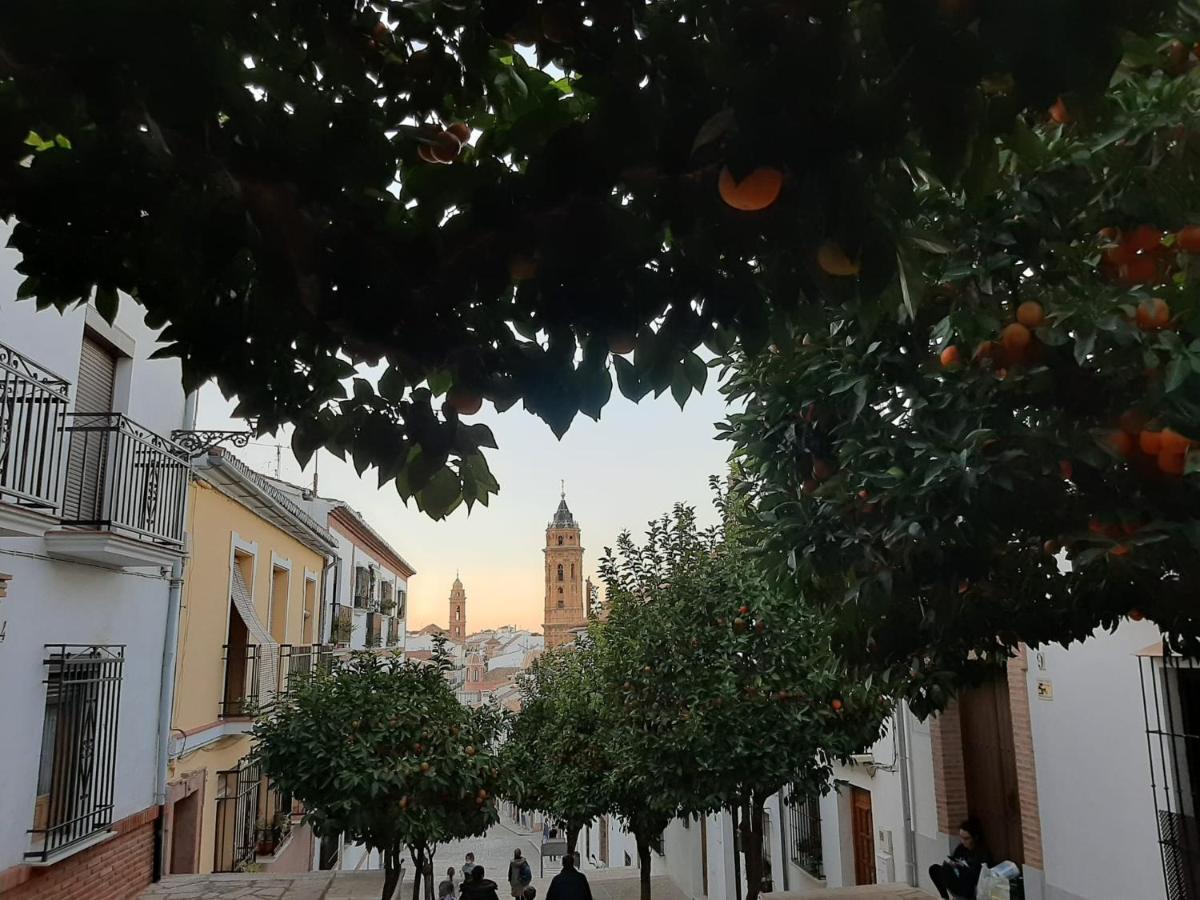 安特克拉Casa El Rinconcito别墅 外观 照片
